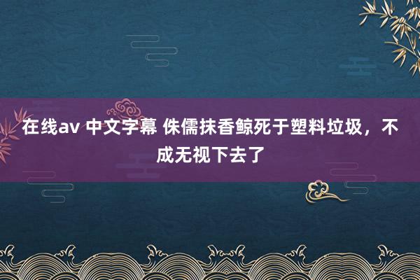 在线av 中文字幕 侏儒抹香鲸死于塑料垃圾，不成无视下去了