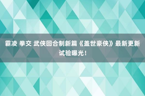 霸凌 拳交 武侠回合制新篇《盖世豪侠》最新更新试验曝光！